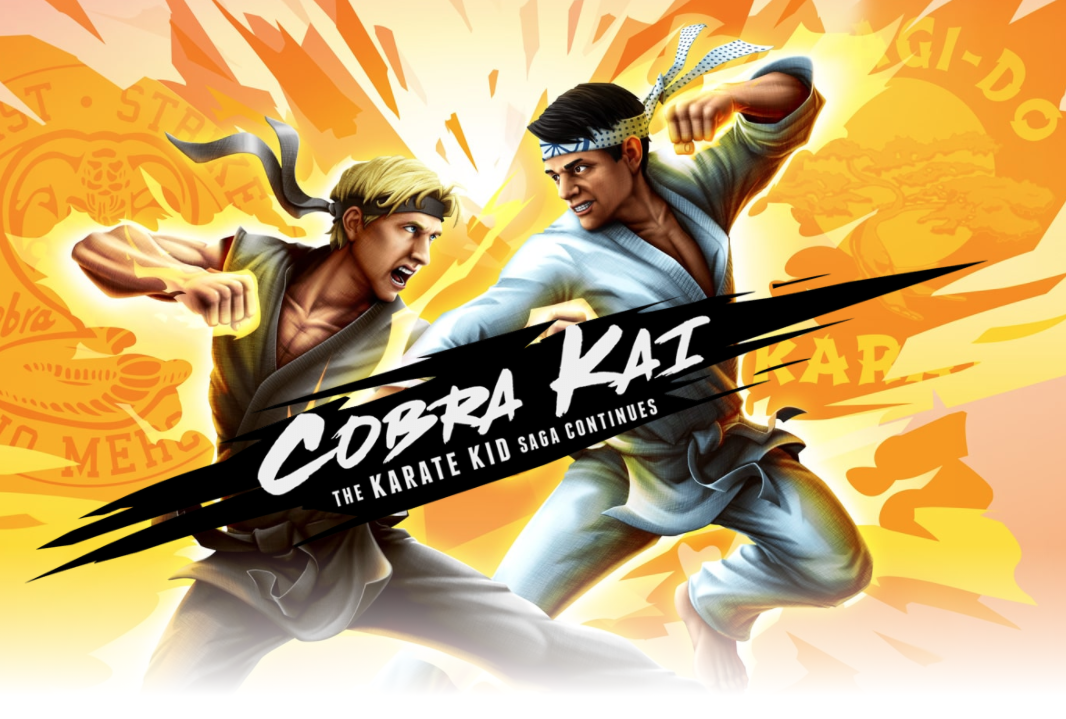  Cobra Kai Karate Kid Saga - Nintendo Switch : Game
